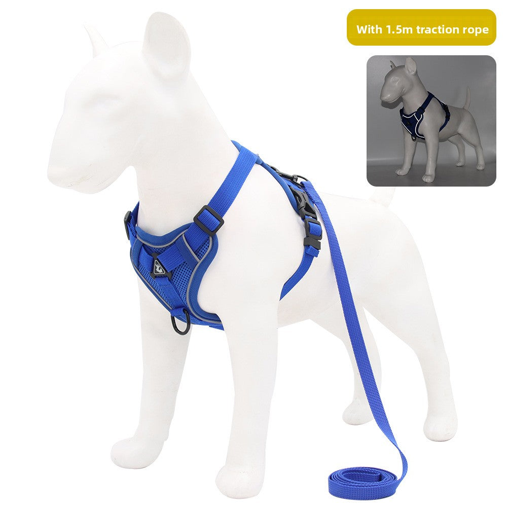 Pet leash