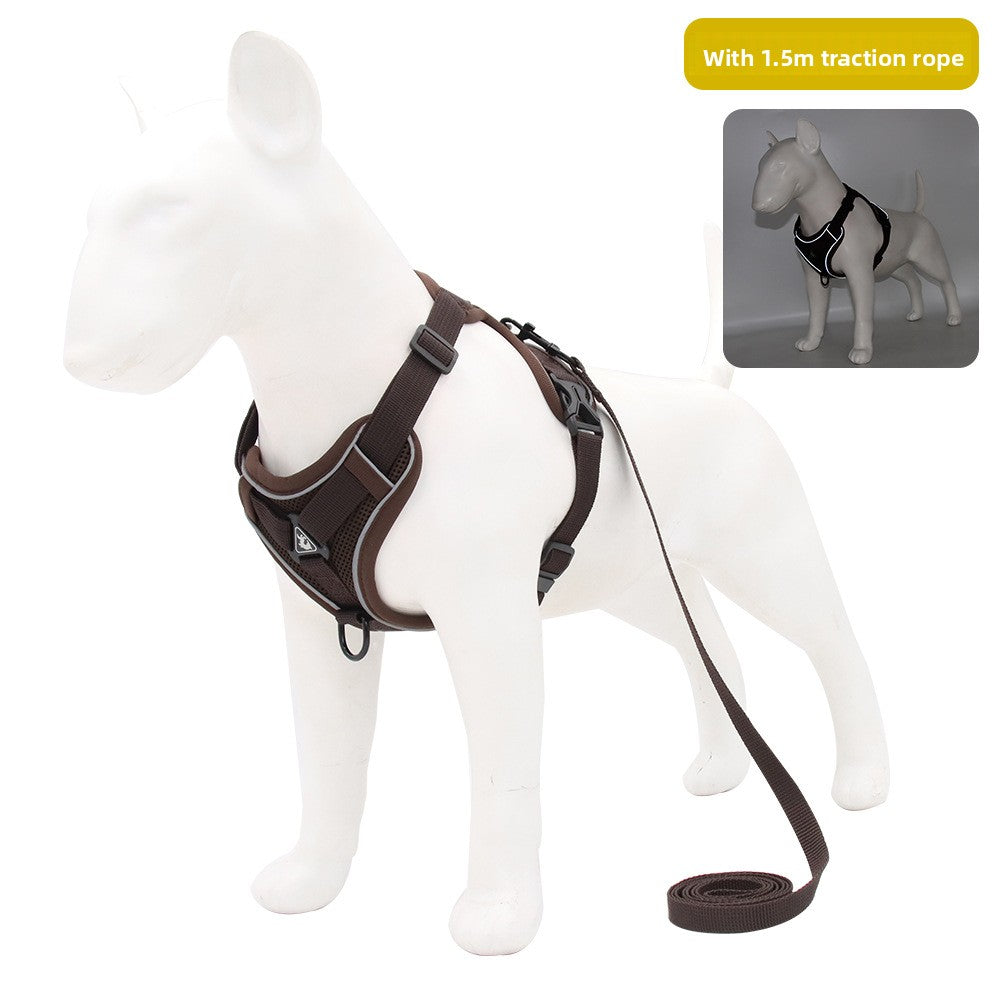 Pet leash