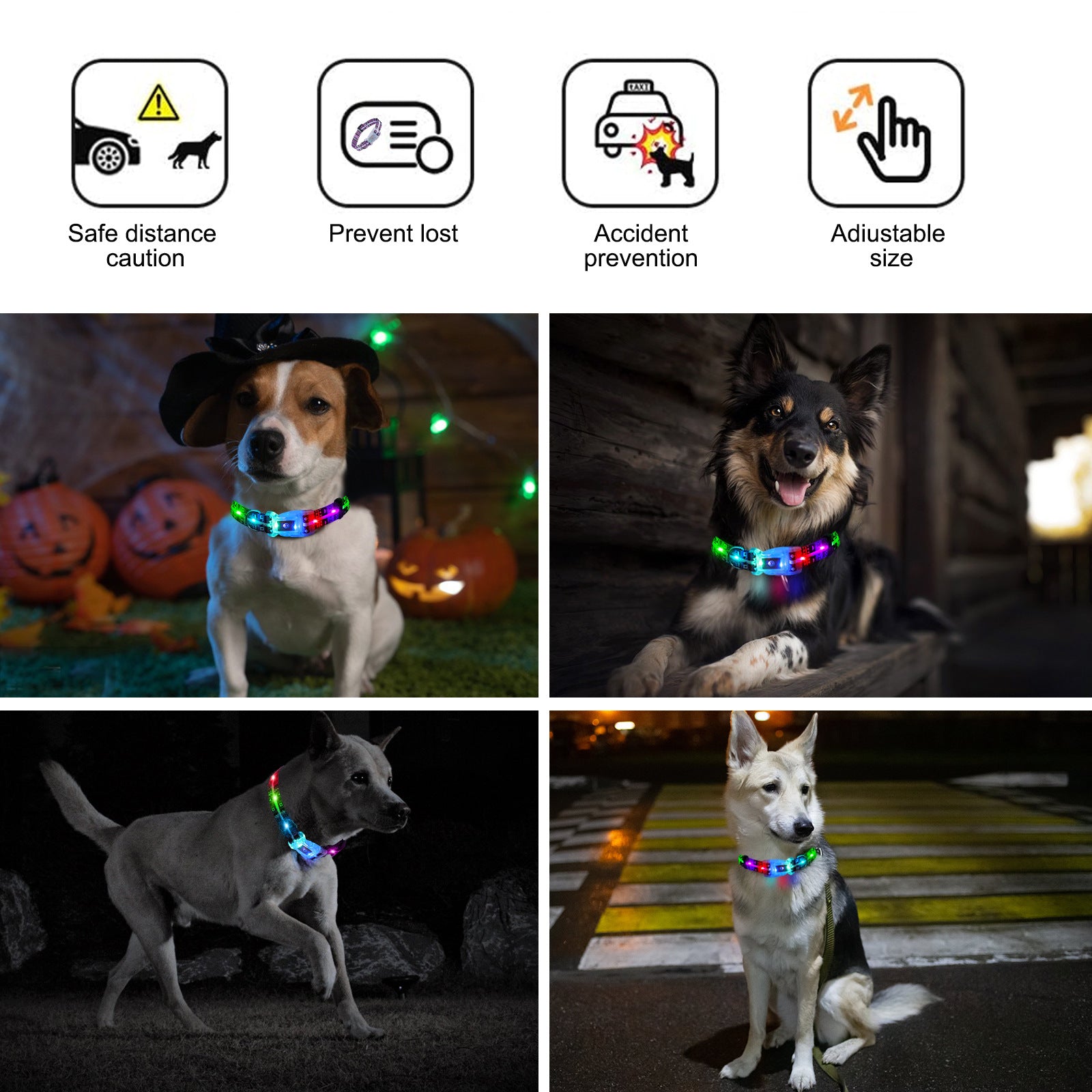 Pet luminous collar