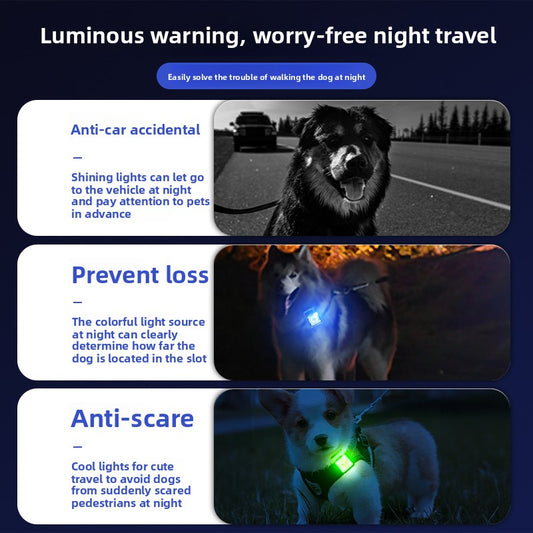 Pet Luminous Collar Le