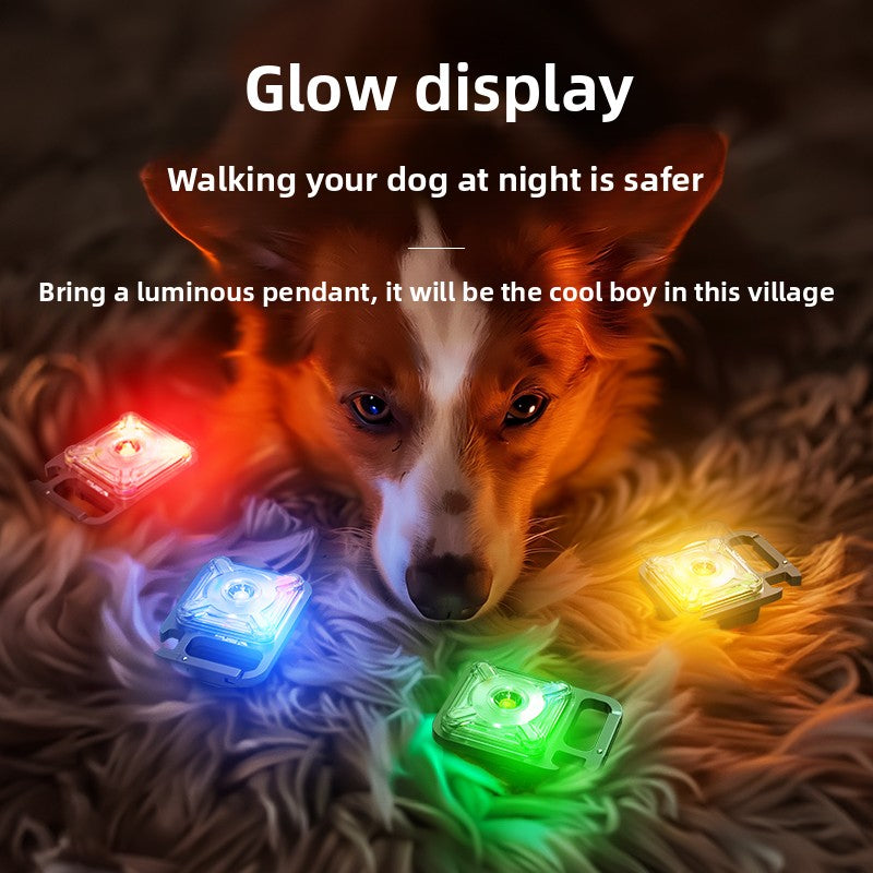 Pet Luminous Collar Le