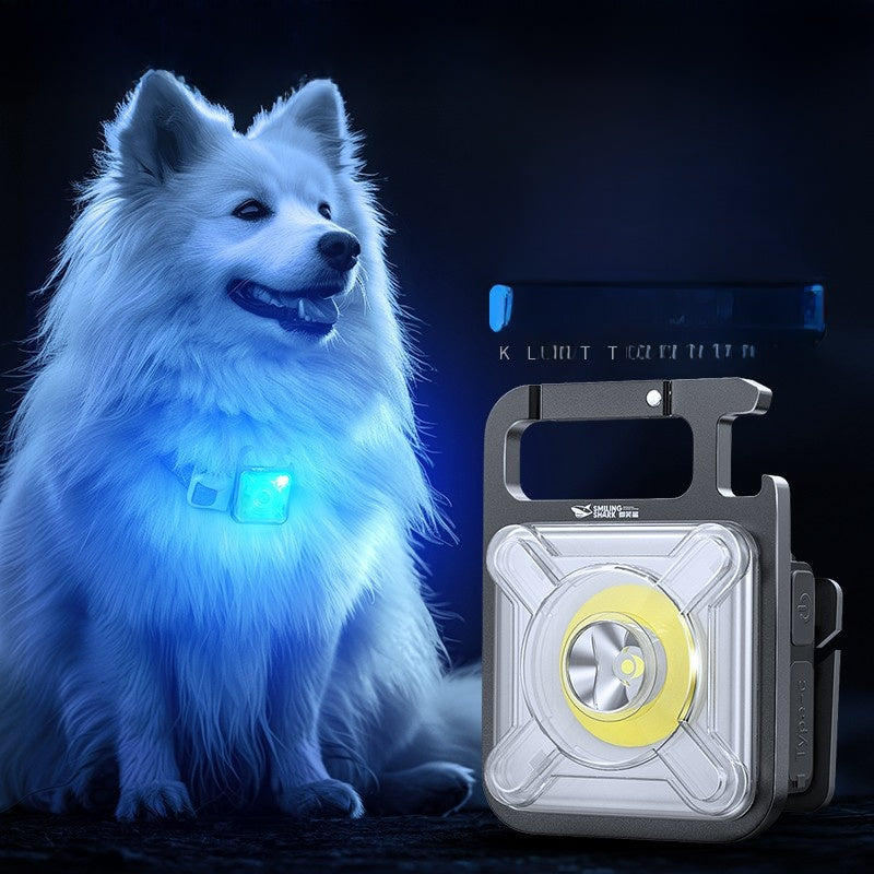 Pet Luminous Collar Le