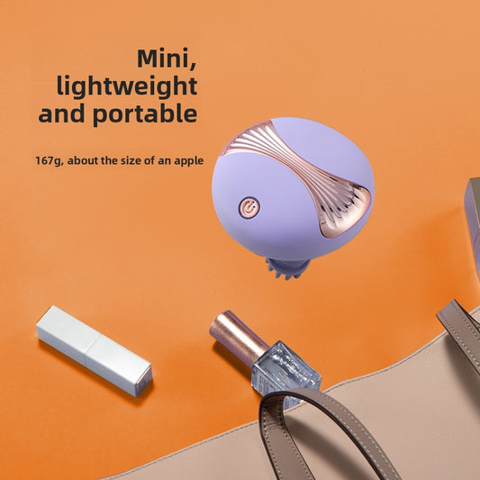 Pet Massager
