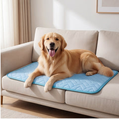 Blue Square