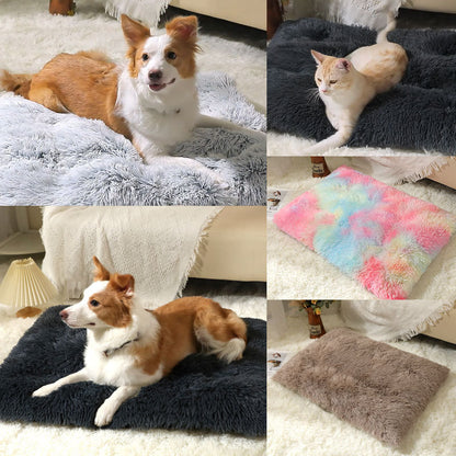 Pet Mat
