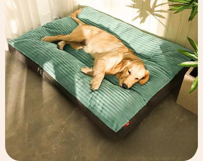 pet mat