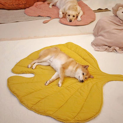 pet mat