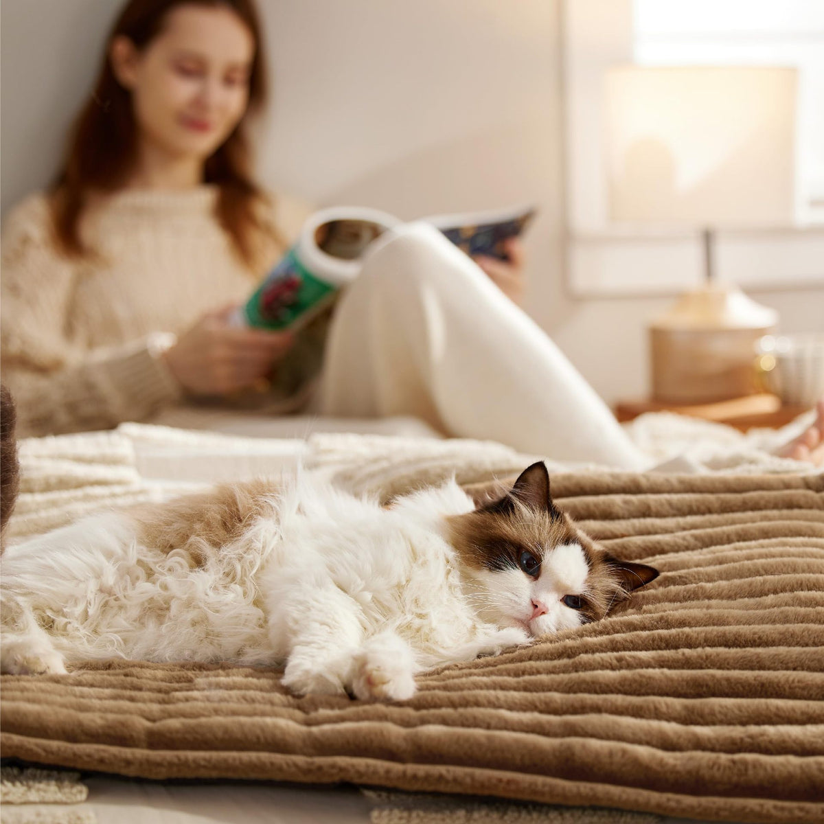 pet mat