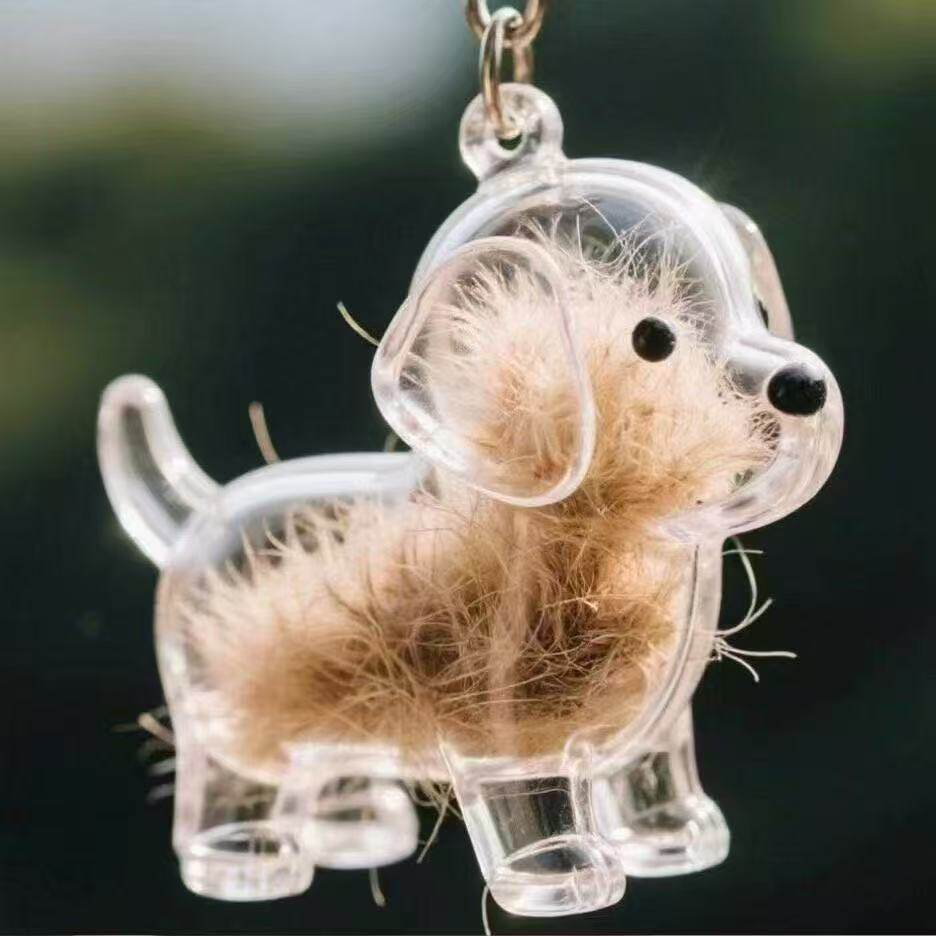 Pet Memorial Capsule