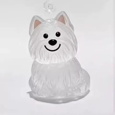 Pet Memorial Capsule