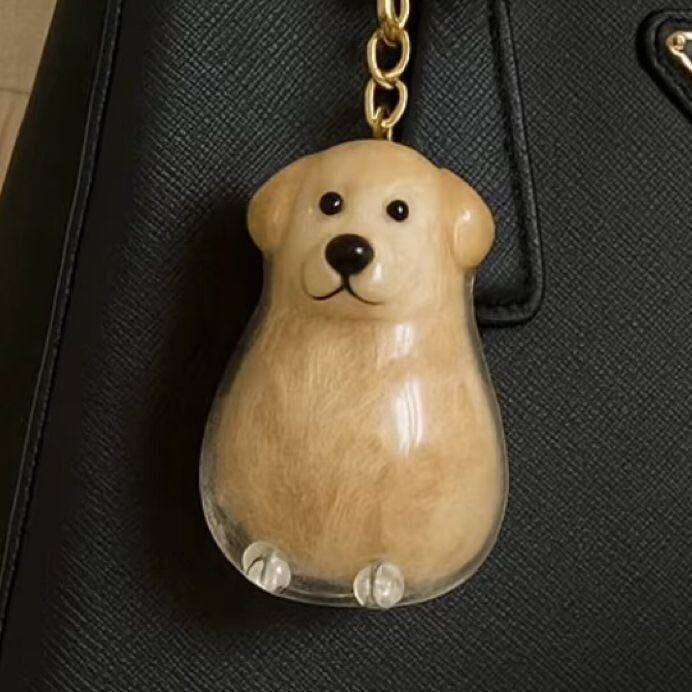 Pet Memorial Capsule