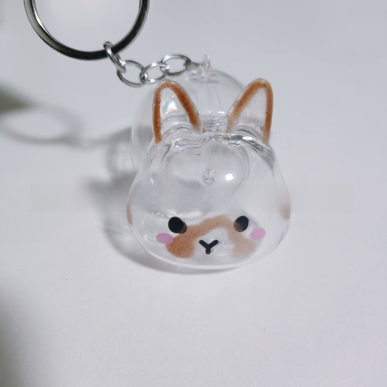 Pet Memorial Capsule