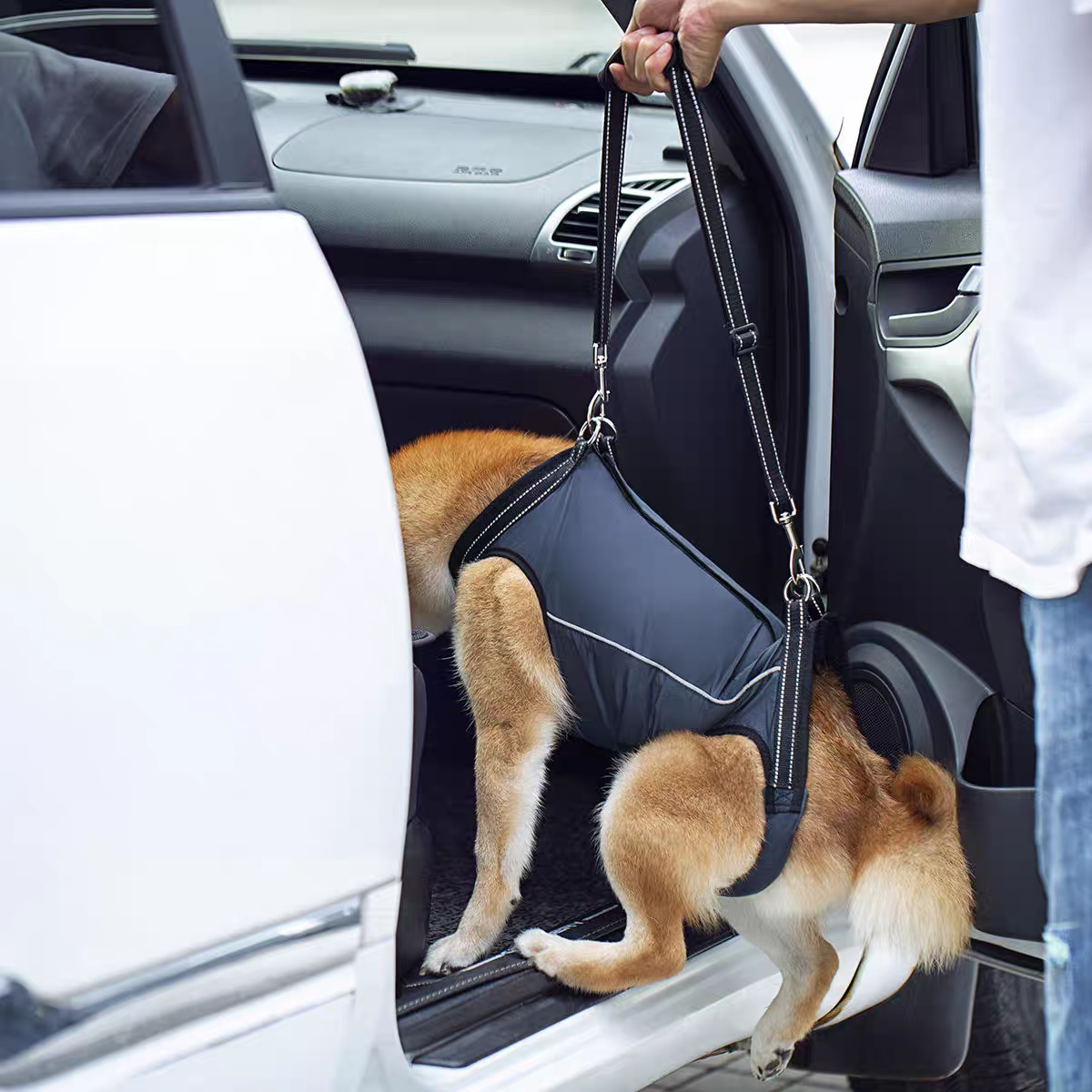 Pet Mobility Harness