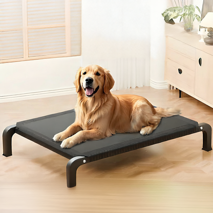 Pet moisture-proof bed off the ground