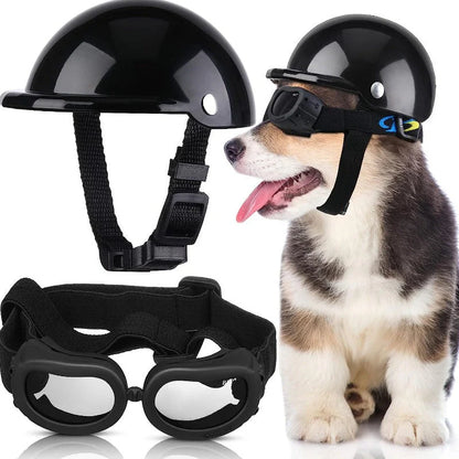 pet motorcycle helmet
