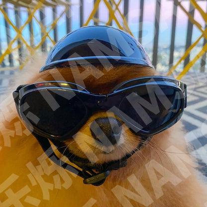 pet motorcycle helmet