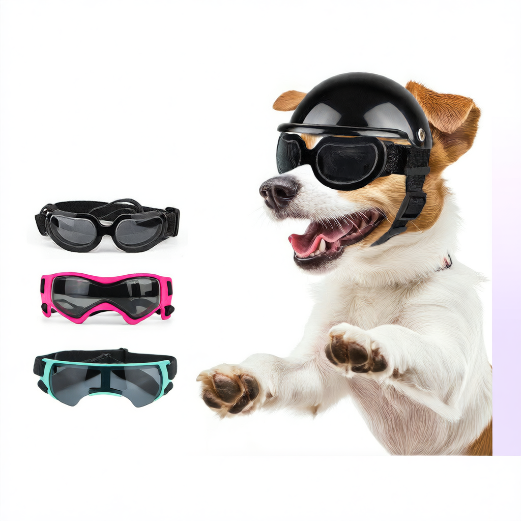 pet motorcycle helmet