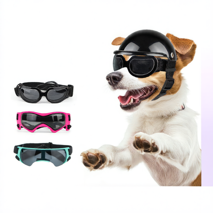 pet motorcycle helmet