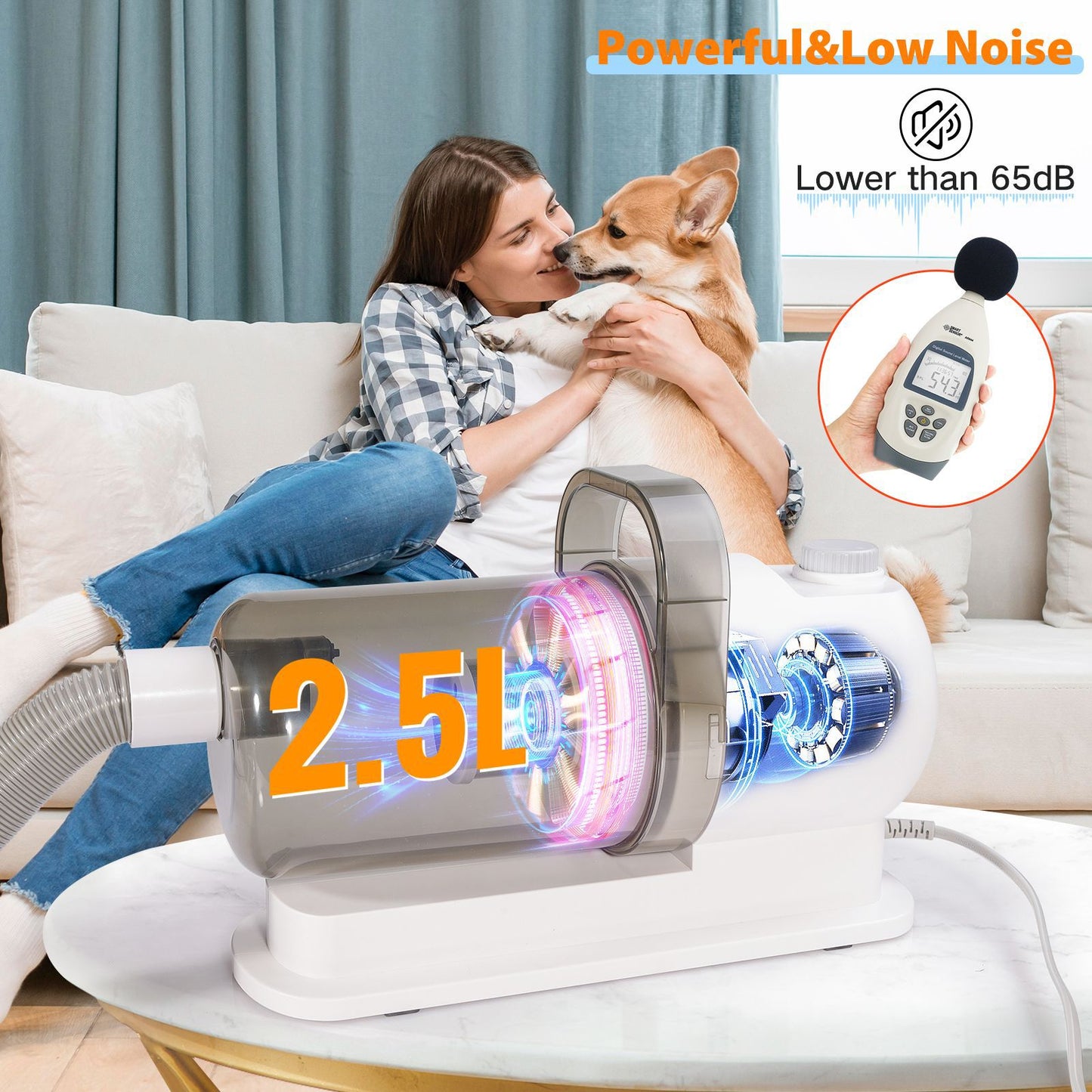 Pet multi-functional hairbrush