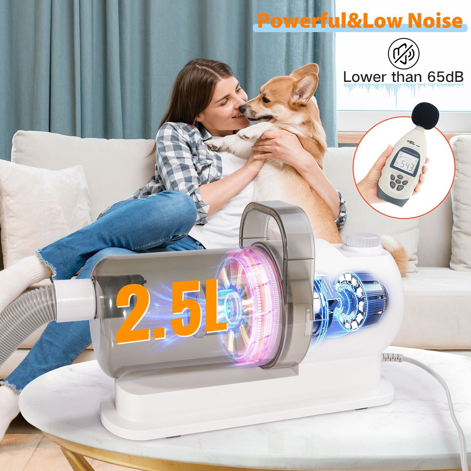 Pet multi-functional hairbrush