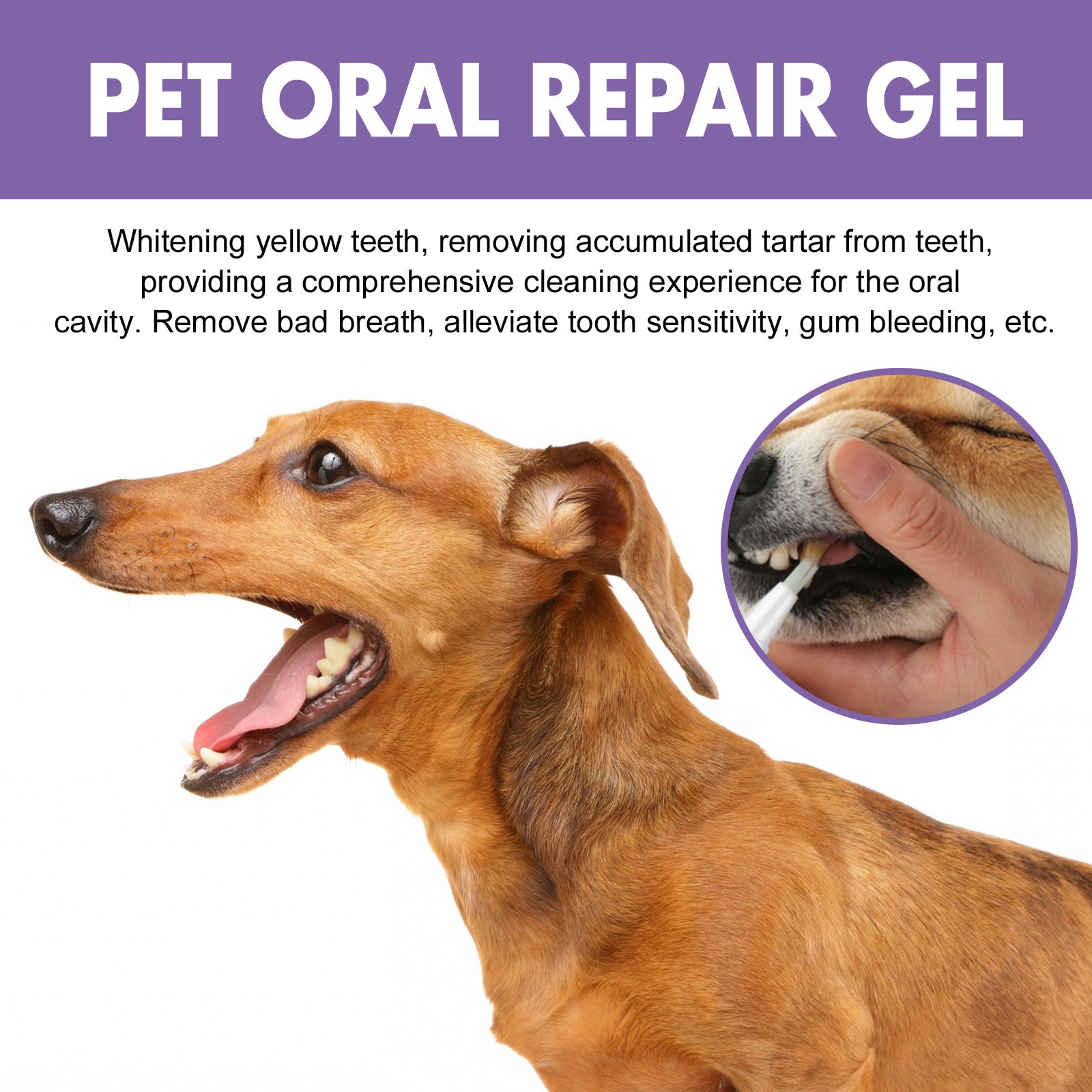 Pet Oral Care Gel