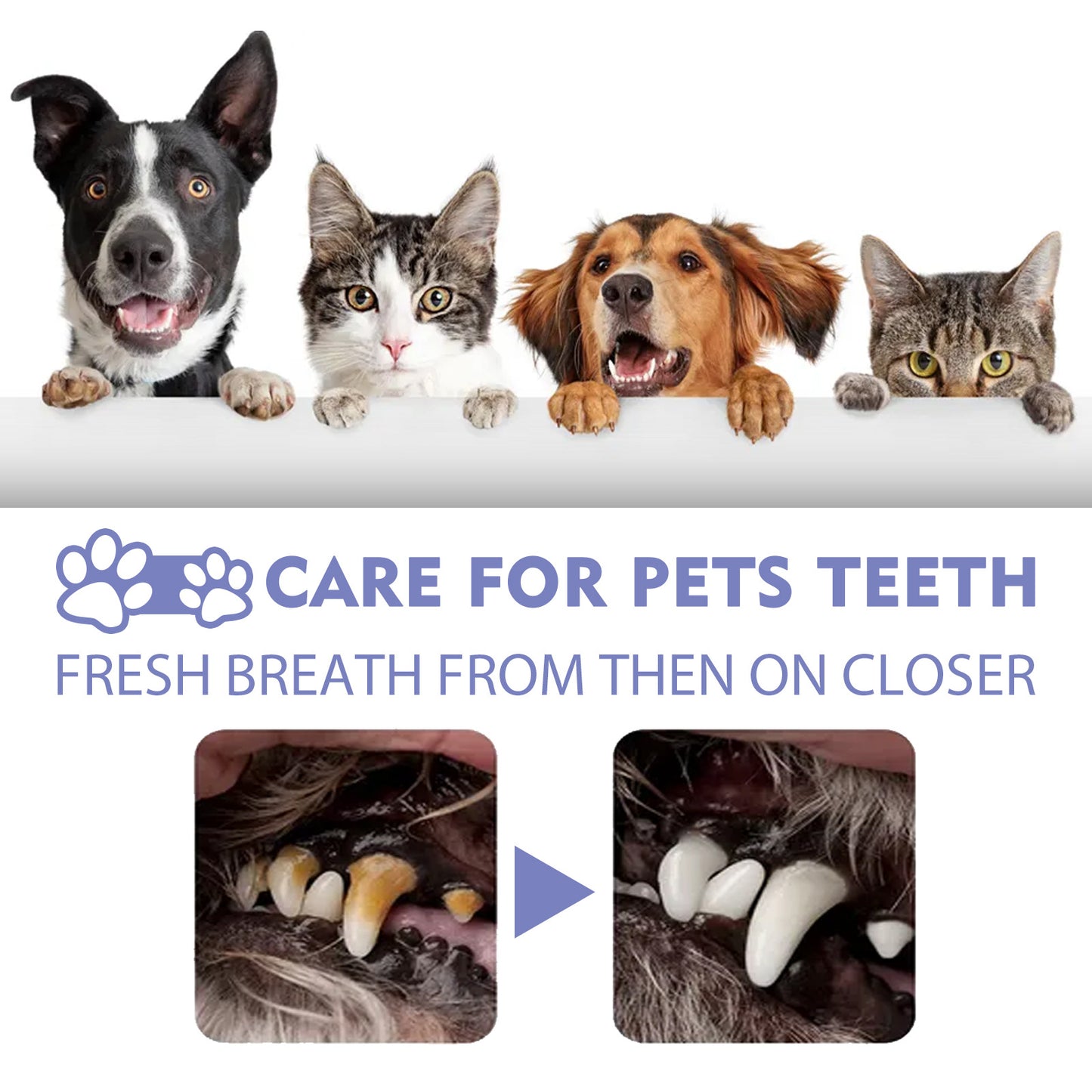 Pet Oral Spray