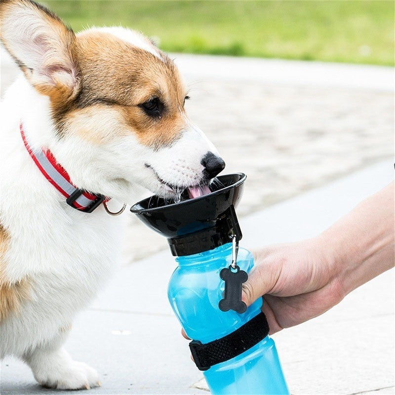 Pet Outdoor Water Bottle