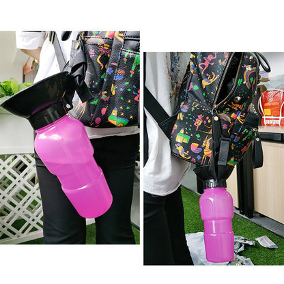 Pet Outdoor Water Bottle