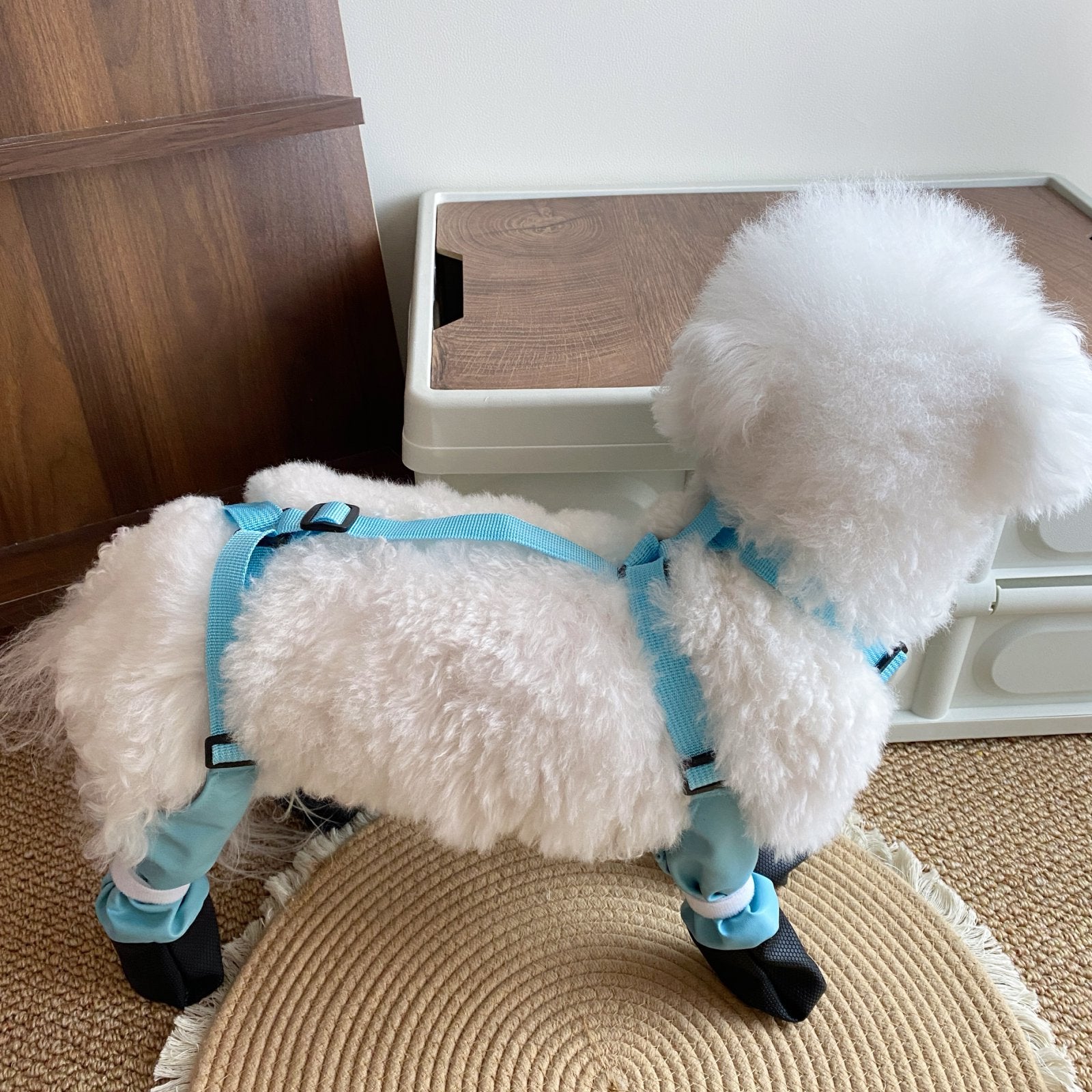 Pet Outdoor Waterproof Non-Slip Shoes