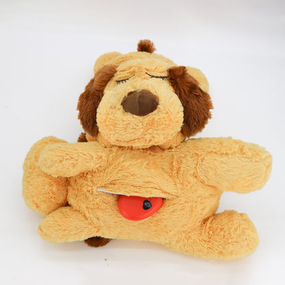 Pet Pacifying Toy