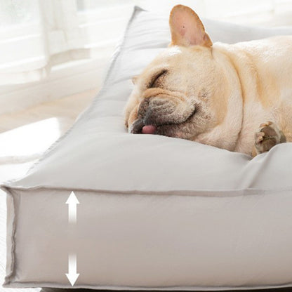 Pet pad dog bed