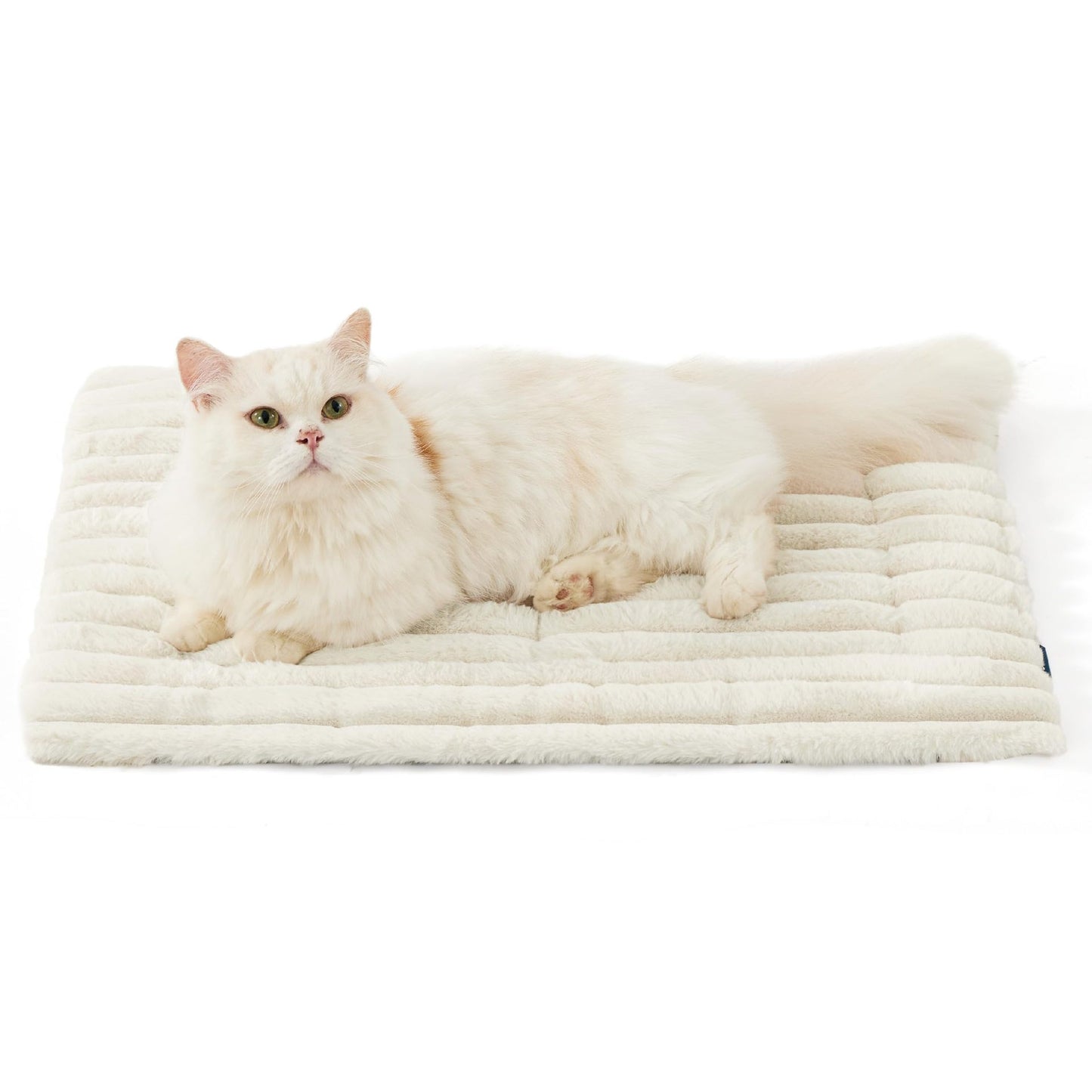 Pet Pad