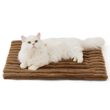 Pet Pad