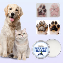 Pet paw balm 15g blueberry oivolii oli-0072