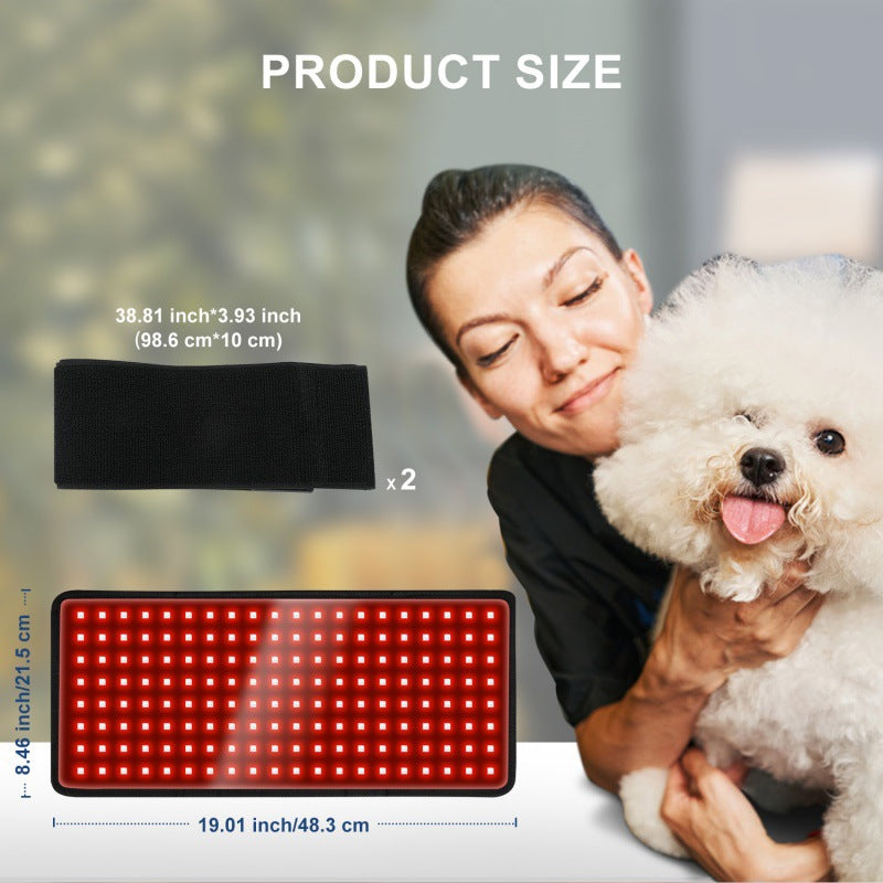 Pet physiotherapy instrument