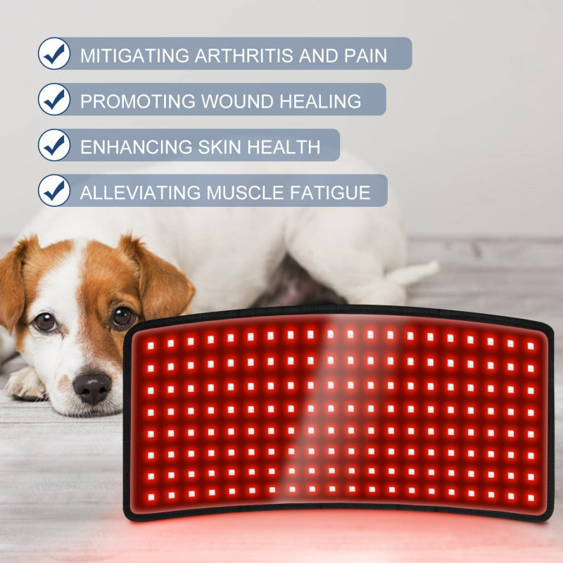 Pet physiotherapy instrument