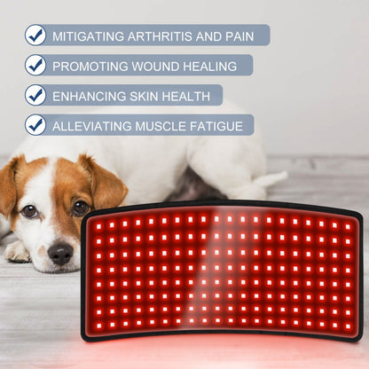 Pet physiotherapy instrument