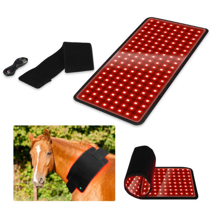 Pet physiotherapy instrument