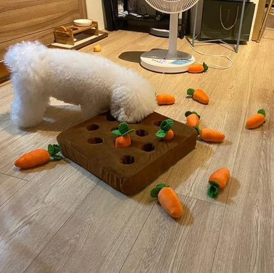 pet plush toy