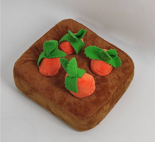 pet plush toy