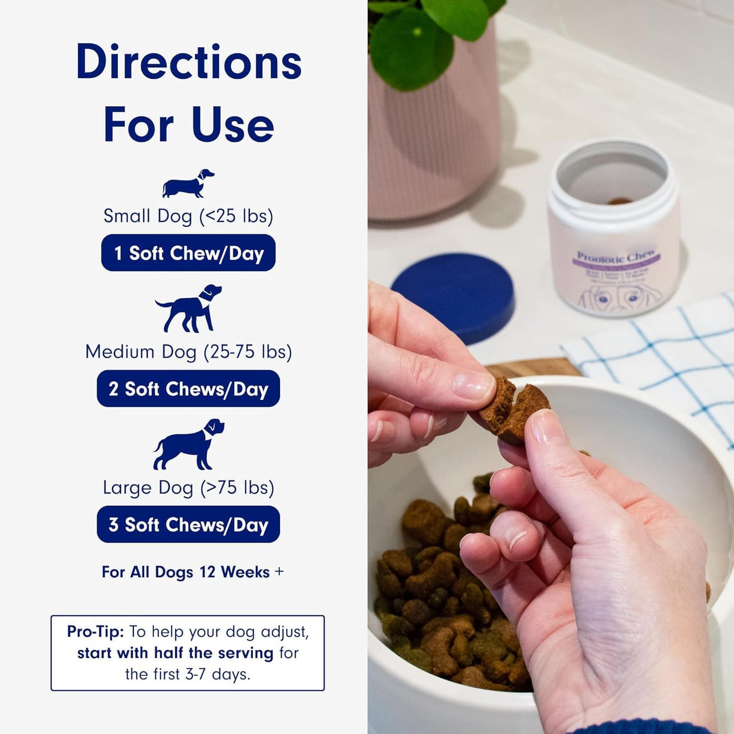 pet probiotics