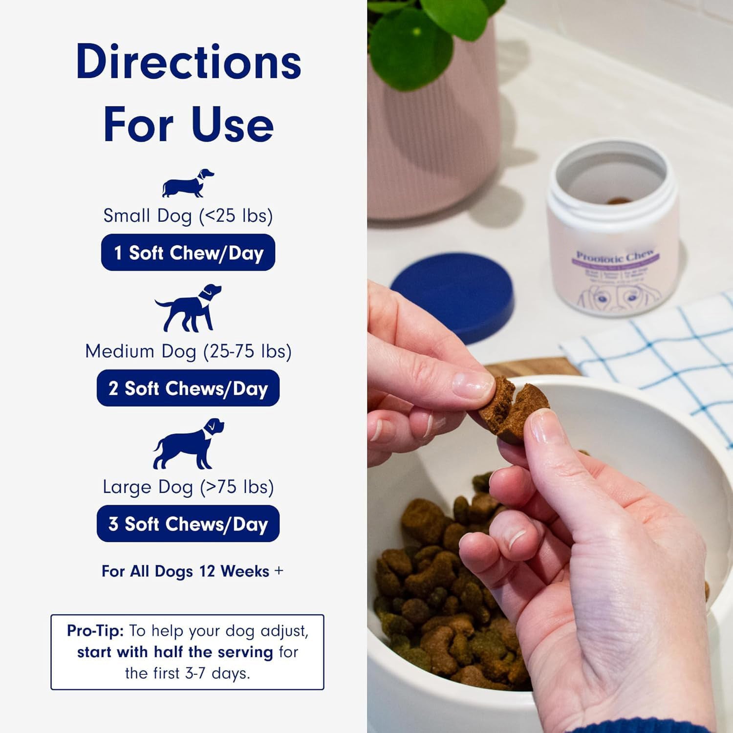 pet probiotics