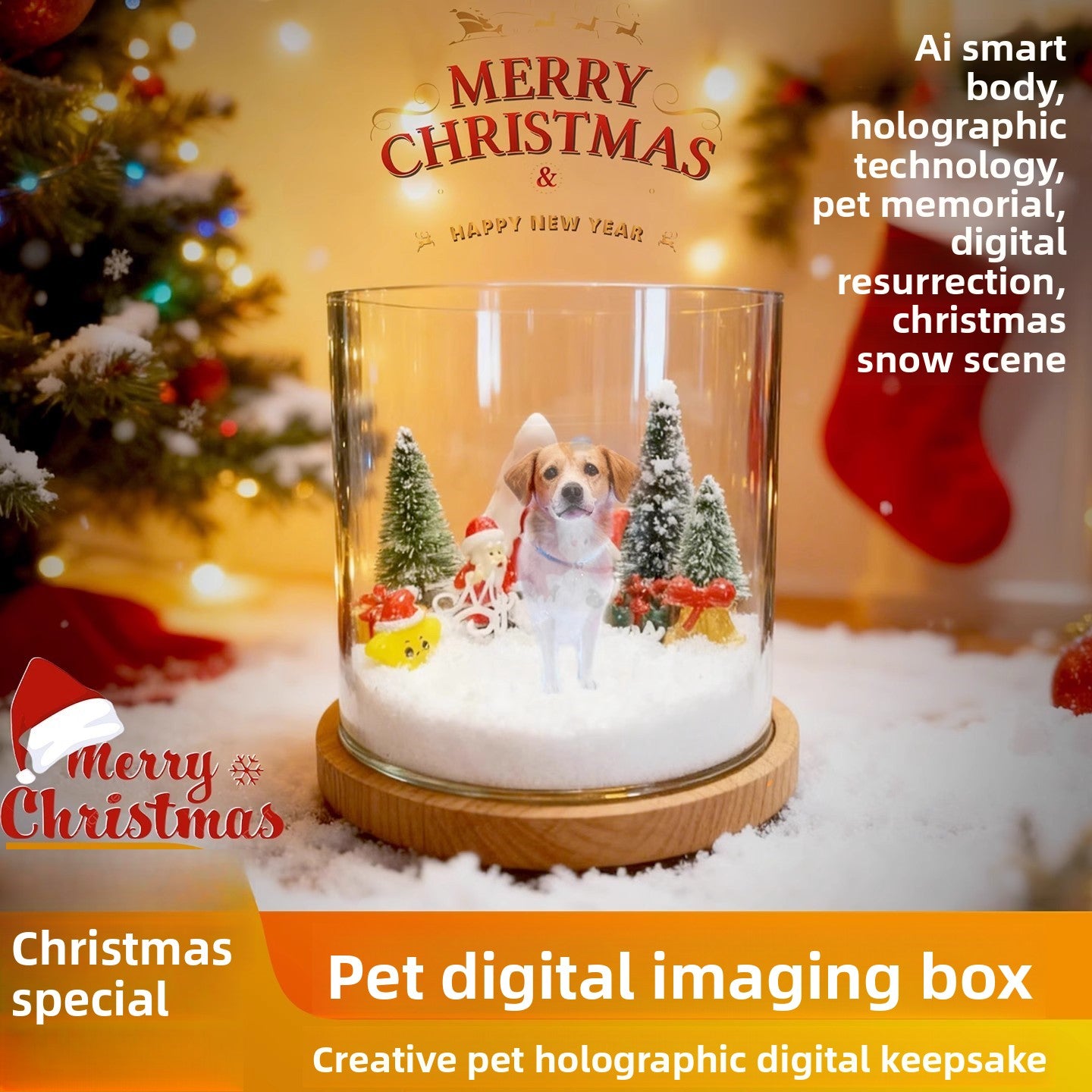 Pet projection box