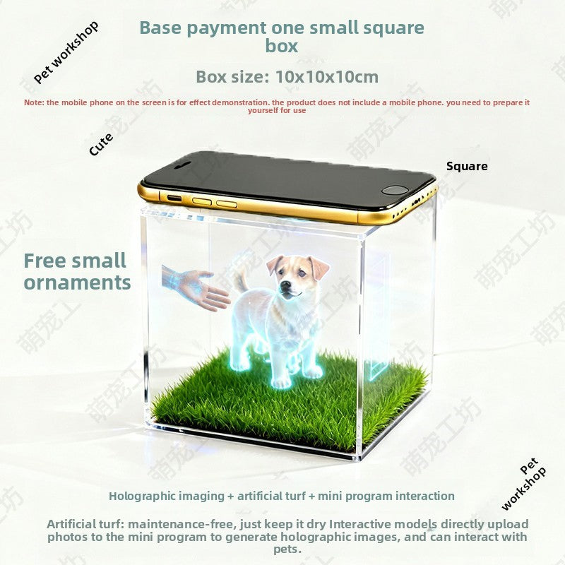Pet projection box