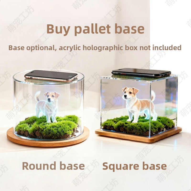 Pet projection box