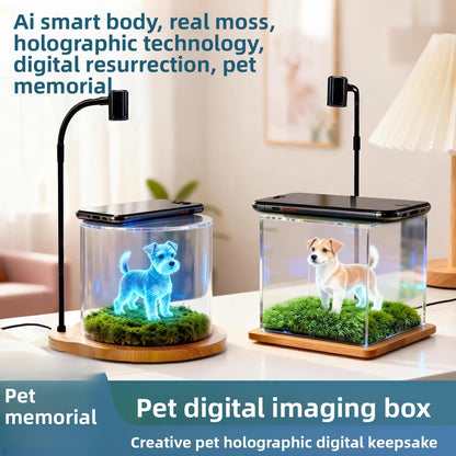 Pet projection box