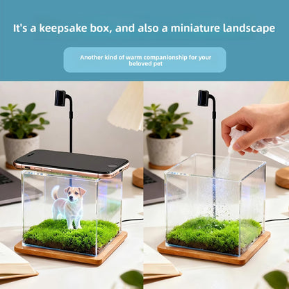 Pet projection box