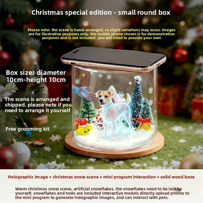 Pet projection box