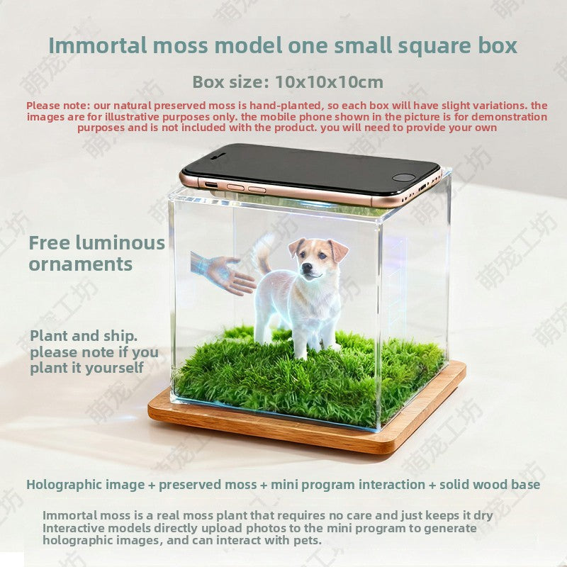 Pet projection box