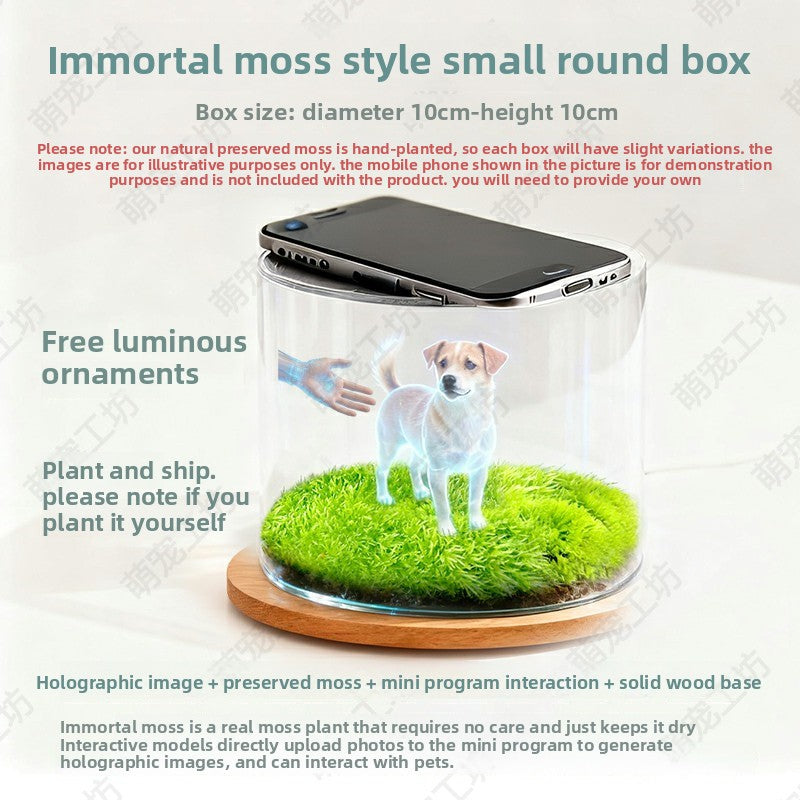 Pet projection box
